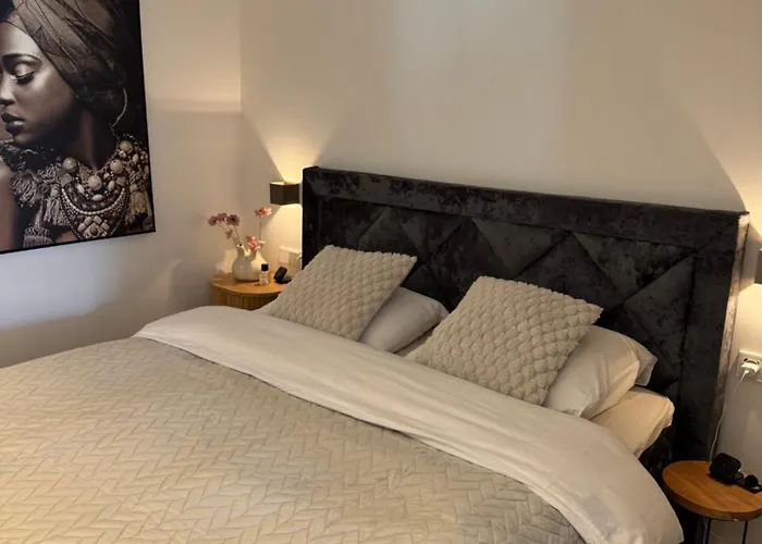 아파트 Dreamz 잔드보르트